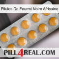 African Black Ant Pills levitra1